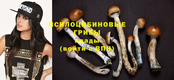 прущий лед Абаза