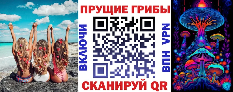 закладки Бирюсинск Псилоцибиновые грибы мицелий